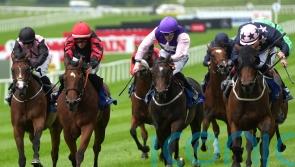 Vespertilio pips My Mate Alfie in Dash thriller
