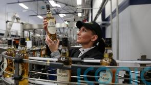 Firms setting out ‘plans for growth’ despite fall in confidence, survey shows