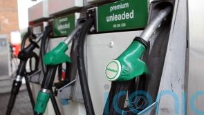 Fuel margins remain high despite lower prices at the pump, watchdog finds