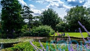 Family-friendly summer gardens to visit