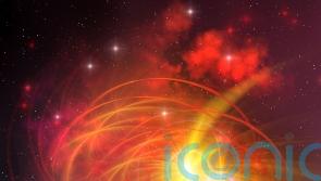 Citizen astronomers see moment star explodes by playing ‘spot the difference’