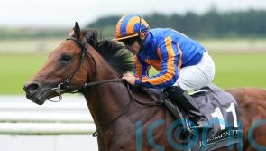 The Lion In Winter joins battle in the Prix Jean Prat