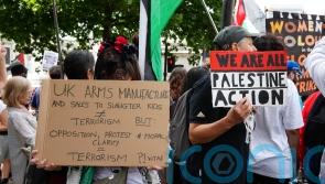 Gap in law could see young people ‘committing terrorist acts by weekend’ – peer