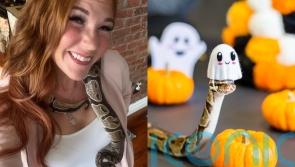 Snake owner handmakes tiny hats for pet and shares themed photoshoots online to challenge stigma species is ‘evil’