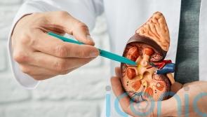 3 kidney risks that increase with age and ways to prevent them