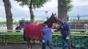O’Brien hoping Daytona can secure ‘special’ Naas success