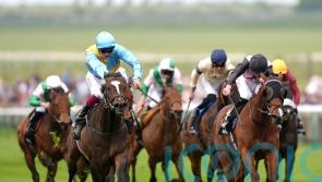 Davison backing She’s Quality to Charge to Sandown glory