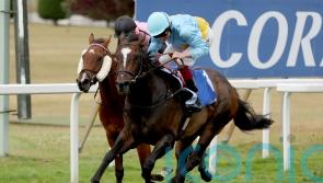 Rumstar leads Sandown Charge for Portman