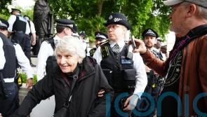 No age limit on law, says Met Police chief as 83-year-old arrested at protest