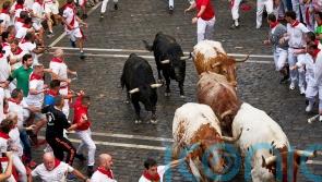 Pamplona holds opening bull run during Spain’s San Fermin festival