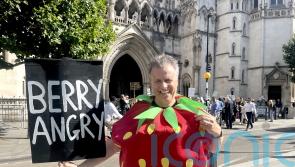 Land for Wimbledon expansion could not have greater legal protection, court told