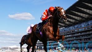 Charlton expects York trip to suit Hand Of God