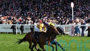 Goldie focusing on Breeders’ Cup date with American Affair