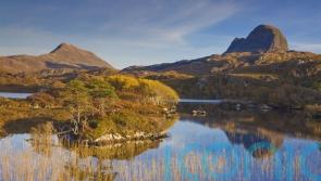 Thousands of acres of new native woods planned for Highlands community estate