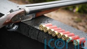 Lead in ammunition to be restricted to reduce toxic pollution