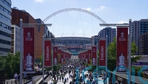 Fines and match bans for stadium tailgating to become law by Euro 2028 – MP
