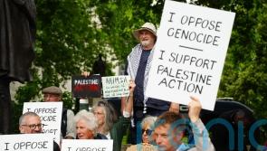 Protesters ‘to hold banners in support of banned Palestine Action’ over weekend