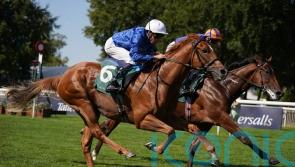 Big-money buy Distant Storm delivers on debut at Newmarket