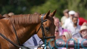 Saba Desert swoops for Superlative strike