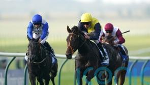 Pontefract repeat could be next on Point Lynas’ agenda