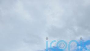 Benvenuto Cellini makes winning mark at Killarney