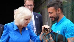 Camilla smitten with Battersea puppy as she opens dog-friendly garden