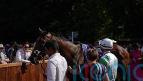 Candy still sweet on big sprint prizes for evergreen Run To Freedom
