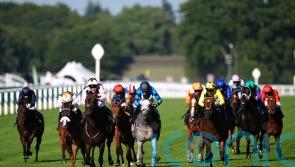 Super Sprint temptation for Johnson Houghton with Havana Hurricane