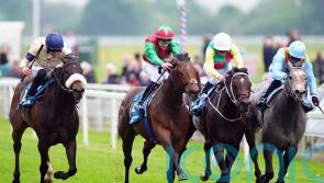 Weather might prove key to Diligent Harry’s bid for third time lucky