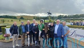Closutton collects on Downpatrick debut