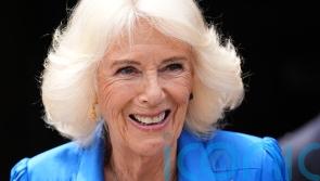Queen to be made vice admiral in recognition of her support of the Royal Navy