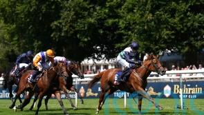 Johnson Houghton retaining plenty of options for Zavateri