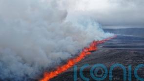 Volcanic eruption forces evacuation of residents and tourists in Iceland
