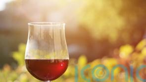 6 summer reds to sip in the sunshine