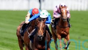 Meehan seeking stamina answers with Steventon contender Rashabar