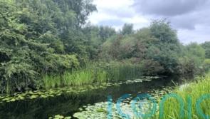 £10,000 reward for information about alleged murder of newborn found in canal