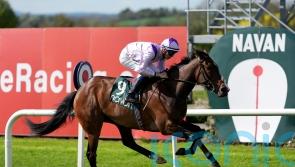 O’Brien eager to take on Hauk again with Wemightakedlongway