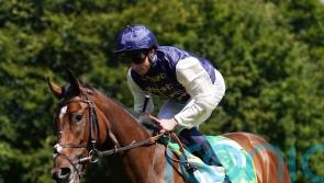 Royal Fixation handed Lowther mission at York