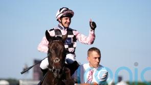 Hurricane bidding to give Johnson Houghton change of fortune in Super Sprint