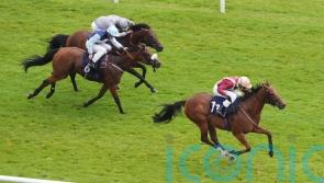 Rage Of Bamby is 33-1 winner of Hackwood Stakes