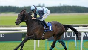 Al Riffa makes class count with stylish Curragh Cup win