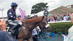 Cavern Club makes all the noise in Summer Hurdle