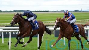 Action-packed Curragh Eyecatcher one to follow