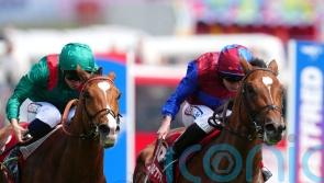 Jan Brueghel poised to be the Ballydoyle big gun in the King George