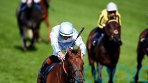 Connections opt to miss the King George with Amiloc