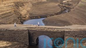 Overhaul water regulators into one single body, landmark review recommends