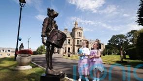 ‘Truly special’ collection of art going on display for free in Northern Ireland
