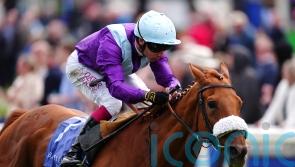 See The Fire primed to go one better than last year at Goodwood