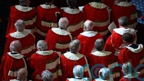 Hereditary peers make last-ditch plea to be spared in ‘ruthless purge’ of Lords