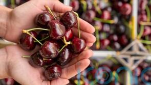 Warm weather leads to glut of cherries with larger packs on sale at supermarket